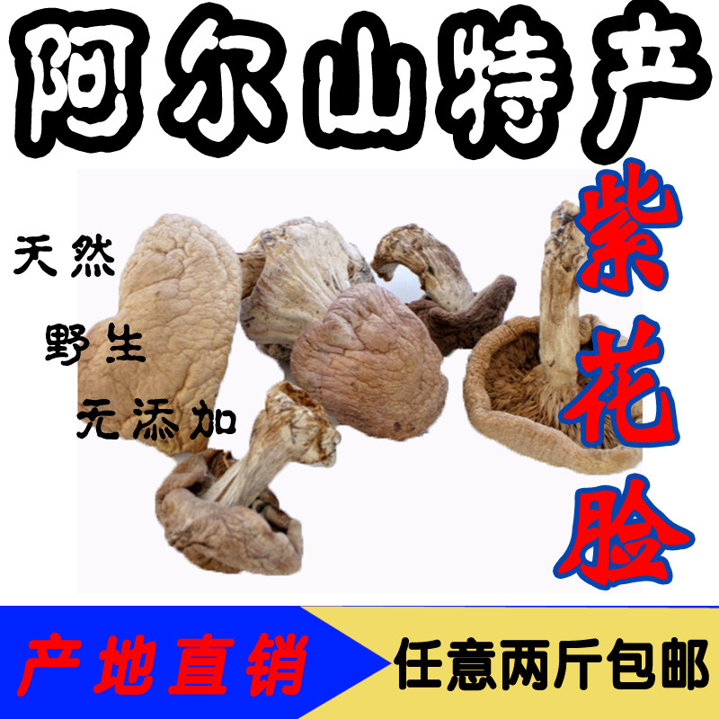 阿尔山特产 紫花脸 蘑菇 纯野生 天然 优质  食用菌  紫丁香蘑