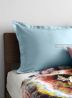 长方形床头大靠背纯棉沙发靠垫套65x85cm床上红色靠枕抱枕套60x80