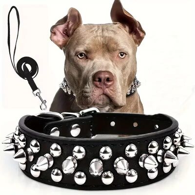 Spiked Dog Collar And Leash Set, Rivet Leather Dog Collar Ad