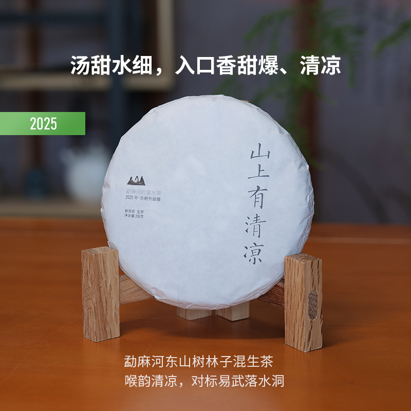 普洱茶勐麻河树林子茶茶汤细生茶