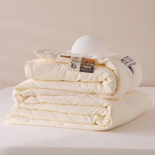 冬季 羊绒被冬被200x230加厚保暖双人柔软春秋空调被子被芯220x240
