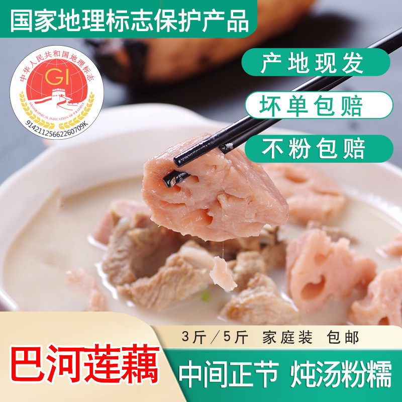 巴河莲藕 湖北莲藕 新鲜泥巴藕 现挖现发 炖汤粉藕 面藕 5斤装