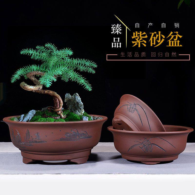 紫砂花盆大口径老桩盆景盆室内庭院绿植小叶紫檀金弹子三角梅花盆