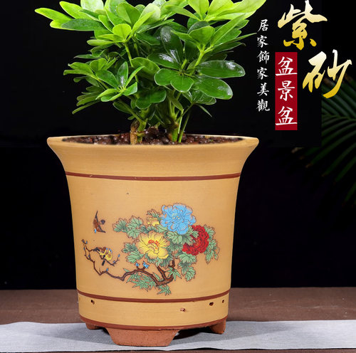 紫砂花盆兰花花盆墨兰花专用花盆