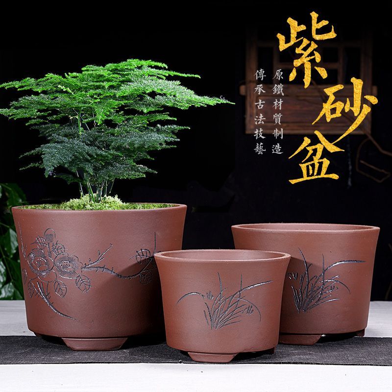 紫砂花盆文竹花盆陶瓷大号客厅阳台庭院花卉绿植盆栽君子兰花盆