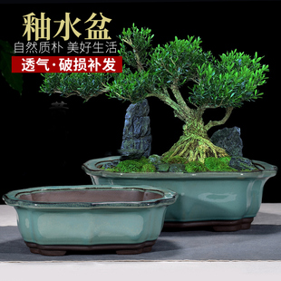 紫砂花盆釉面长方形马槽金弹子植物老桩盆景盆陶瓷大号盆特价 包邮