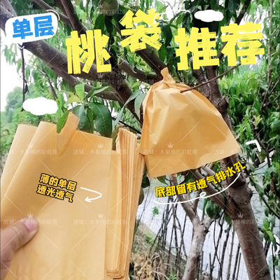 桃子专用套袋透光透气阳山水蜜桃专用桃袋水果套袋单层防水防虫