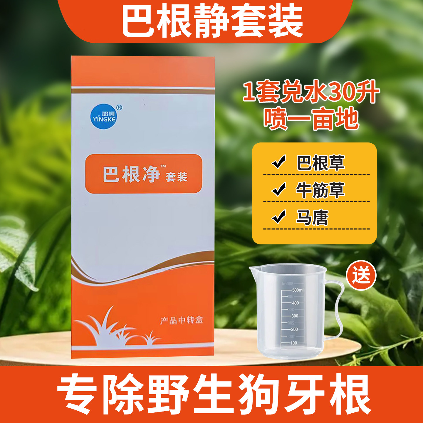 巴根净静套装马尼拉台湾草兰引三号除狗牙根牛筋草棒头野燕麦稗草