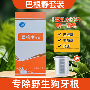 巴根净静套装马尼拉台湾草兰引三号除狗牙根牛筋草棒头野燕麦稗草