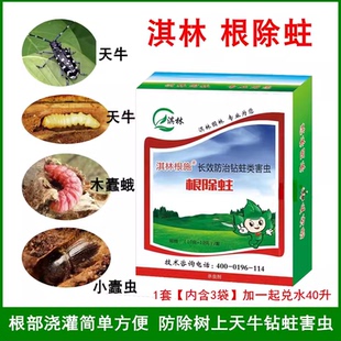 根除蛀根部浇灌防除天牛钻心虫蛤虫蛀木吉丁小蠹虫绿化杀虫剂