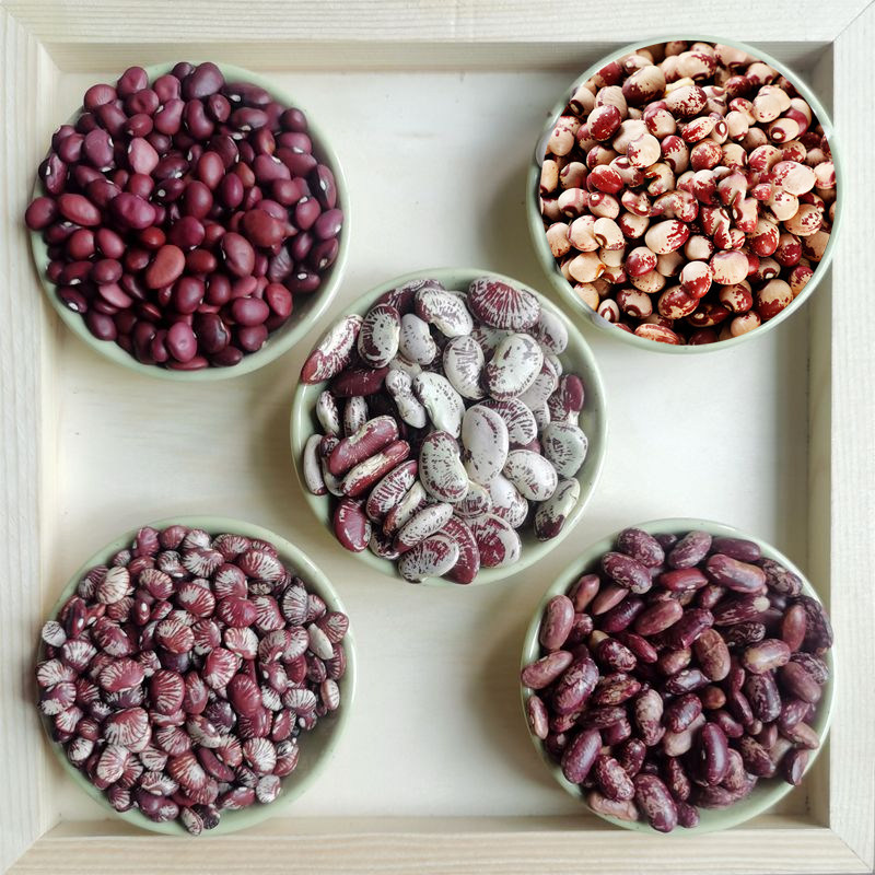 五色芸豆组合杂豆类大全豆馅原料东北农家杂芸豆混合新鲜新红豆沙