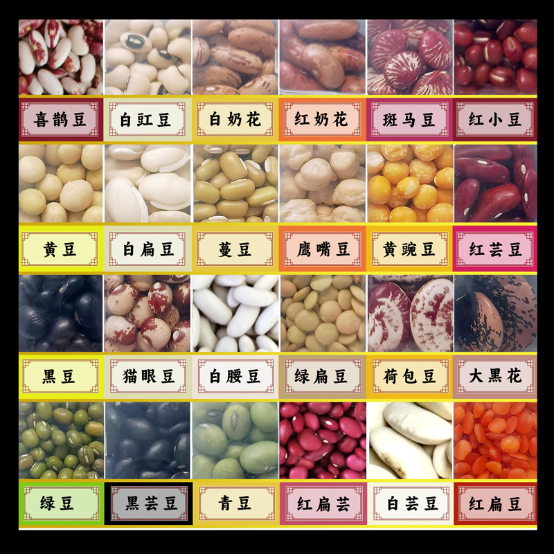 24种豆类杂粮自选1斤杂豆独立包装粗粮黑白芸豆菜扁豆鹰嘴豆家用