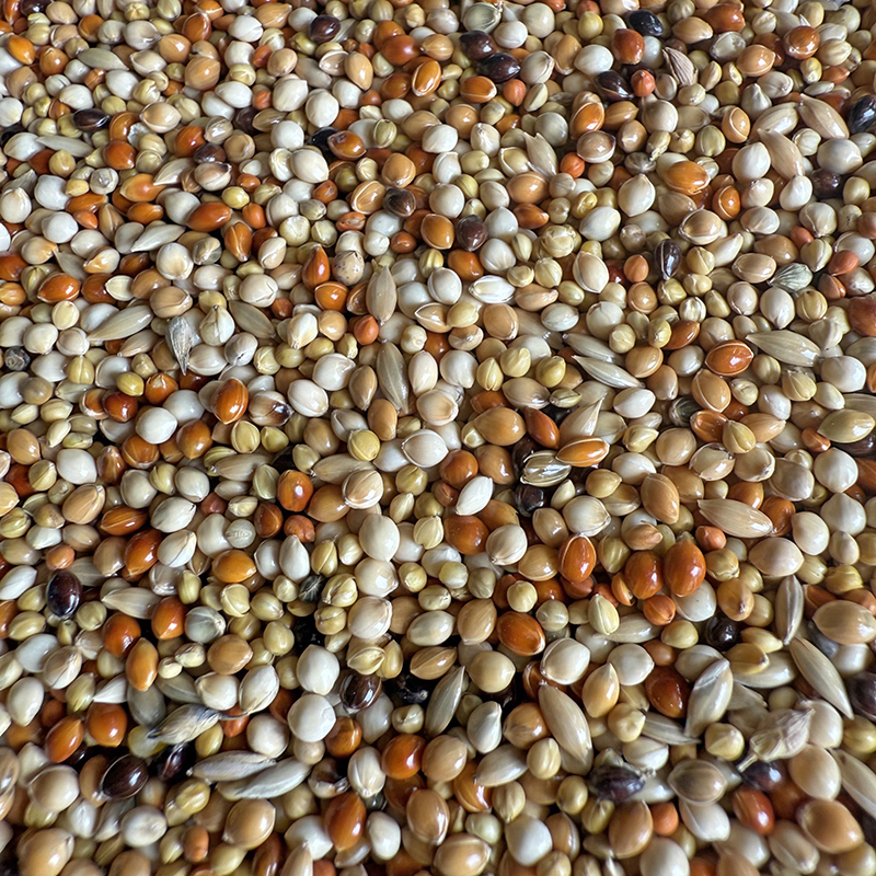 虎皮鹦鹉专用混合营养粮