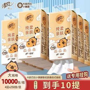 抽纸卡皮巴拉小黄豚挂抽纸巾卫生纸4层250抽家商用整箱 清风悬挂式
