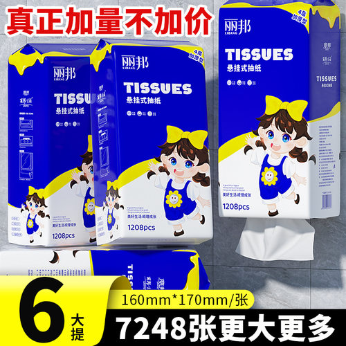 丽邦悬挂式抽纸4层家用实惠整箱