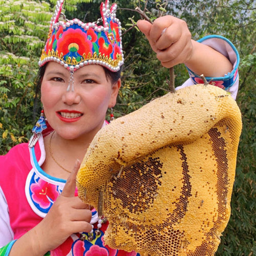 百花蜜云南食用嚼着吃野生蜂蜜