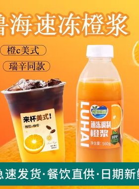 鲁海HPP速冻橙浆橙C美式气泡水咖啡饮品原料瓶装无颗粒橙汁560g