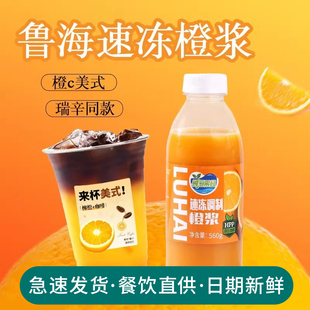 鲁海HPP速冻橙浆橙C美式气泡水咖啡饮品原料瓶装无颗粒橙汁560g