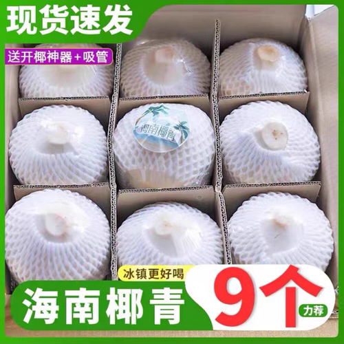 海南新鲜椰青文昌椰子原产地直发