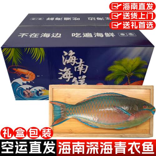 海南三沙青衣鱼新鲜海鲜顺丰空运