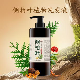 纯配方代熬侧柏叶皂角洗发水植物养发生姜控油去屑止痒潮抱