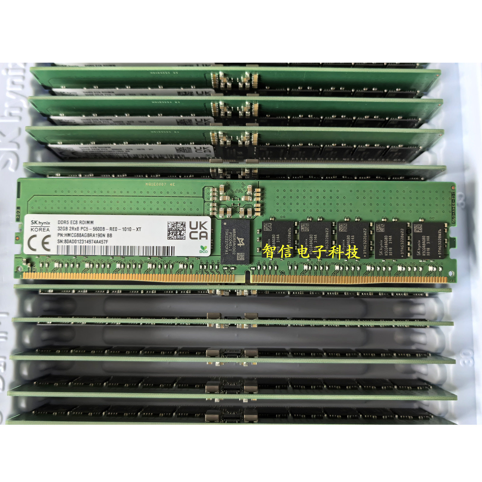 DLEE戴尔 SNPP8XPWC/32G 2RX8 PC5-5600B ECC REG服务器内存 DDR5