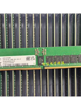 SK海力士 32G 1RX4 PC5-4800B ECC REG内存107N/174N/168N/113N