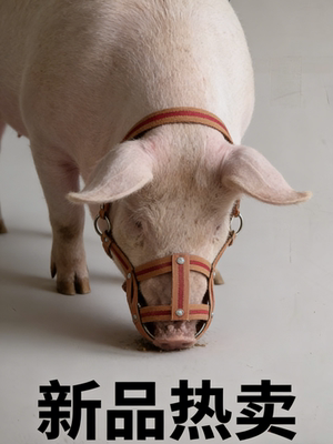 猪嘴套防咬套防咬猪仔套母猪套
