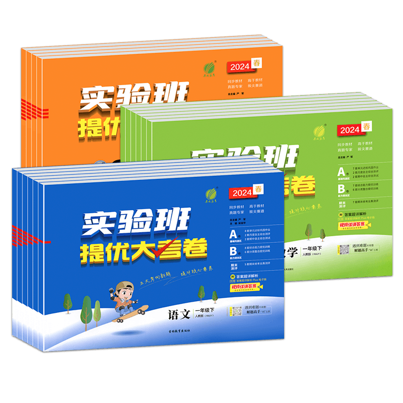 实验班提优大考卷小学