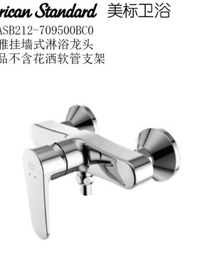 美标挂墙式淋浴铜水龙头