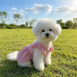 夏季方格飞袖吊带公主裙薄款博美约克夏猫咪泰迪比熊宠物狗狗衣服