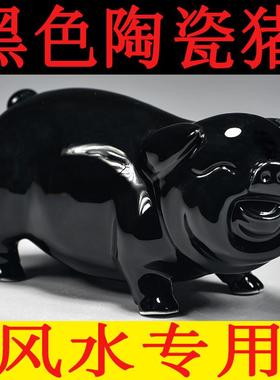 黑色陶瓷猪摆件十二生肖动物小猪家居精雕可爱猪装饰吉祥物工艺品