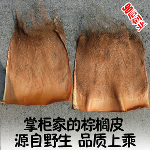 棕榈皮复古家居棕毛棕榈衣绿萝棒棕衣棕片棕树皮棕丝绿植盆栽包邮