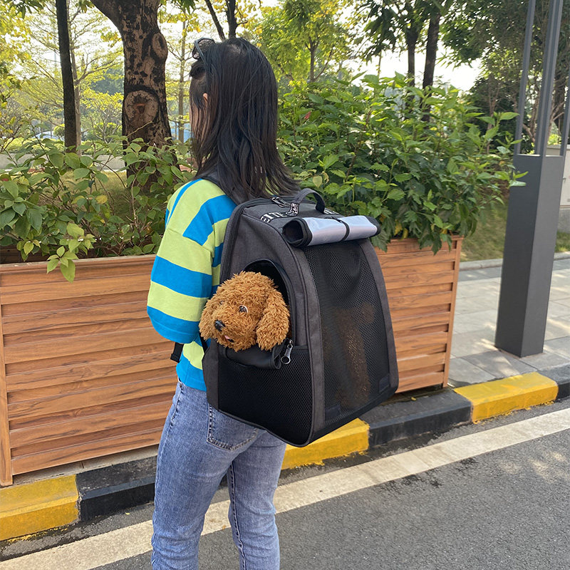 猫包四季通用透气全封闭宠物双肩背包泰迪猫咪外出可携式泰迪狗背