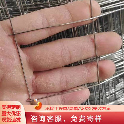 热镀锌钢丝网不锈钢钢丝网围栏网防鼠蛇牛羊鸡鸭果园围栏抹墙防裂