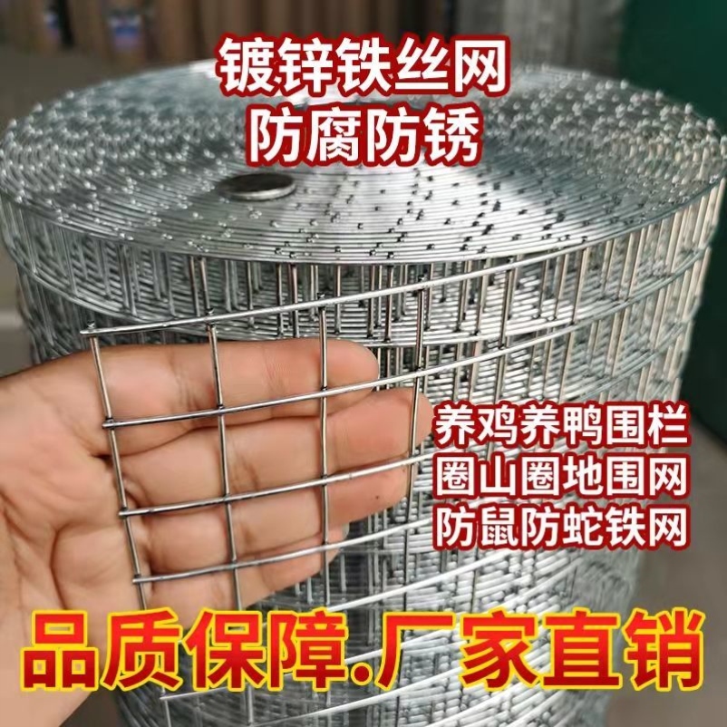 热镀锌钢丝网防锈铁丝网围栏养殖鸡鸽防鼠鸟笼兔笼蛇圈地网格隔离