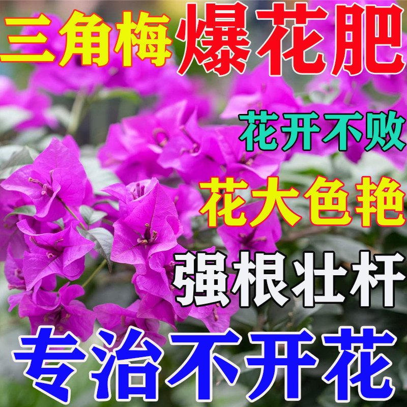 三角梅开花专用肥促花养花营养液花多多2号磷酸二氢钾肥花卉通用,鲜花速递/花卉仿真/绿植园艺,家庭园艺肥料,淘宝优惠券,粉丝福利购,淘宝优惠卷