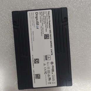 R5101 SSD 议价全新DapuStor Roealsen