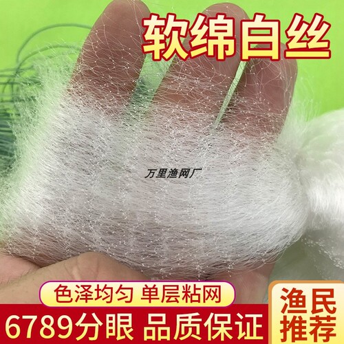 单层小渔网白条粘网挂鲫鱼网马口