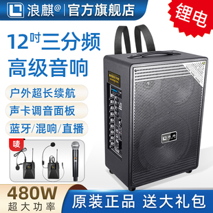 浪麒D63 D612摆摊专用高端户外k歌直播音响三分频大功率音箱 D610