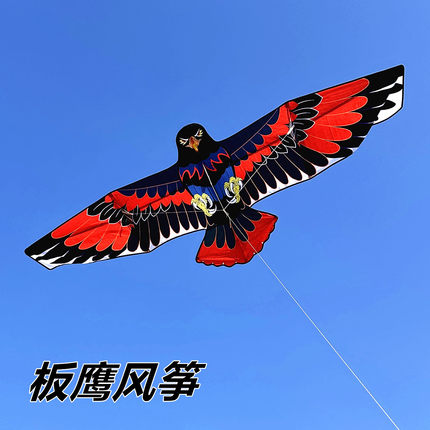 板鹰风筝潍坊新款成人专用高档专业中大型伞布初学者儿童微风易飞
