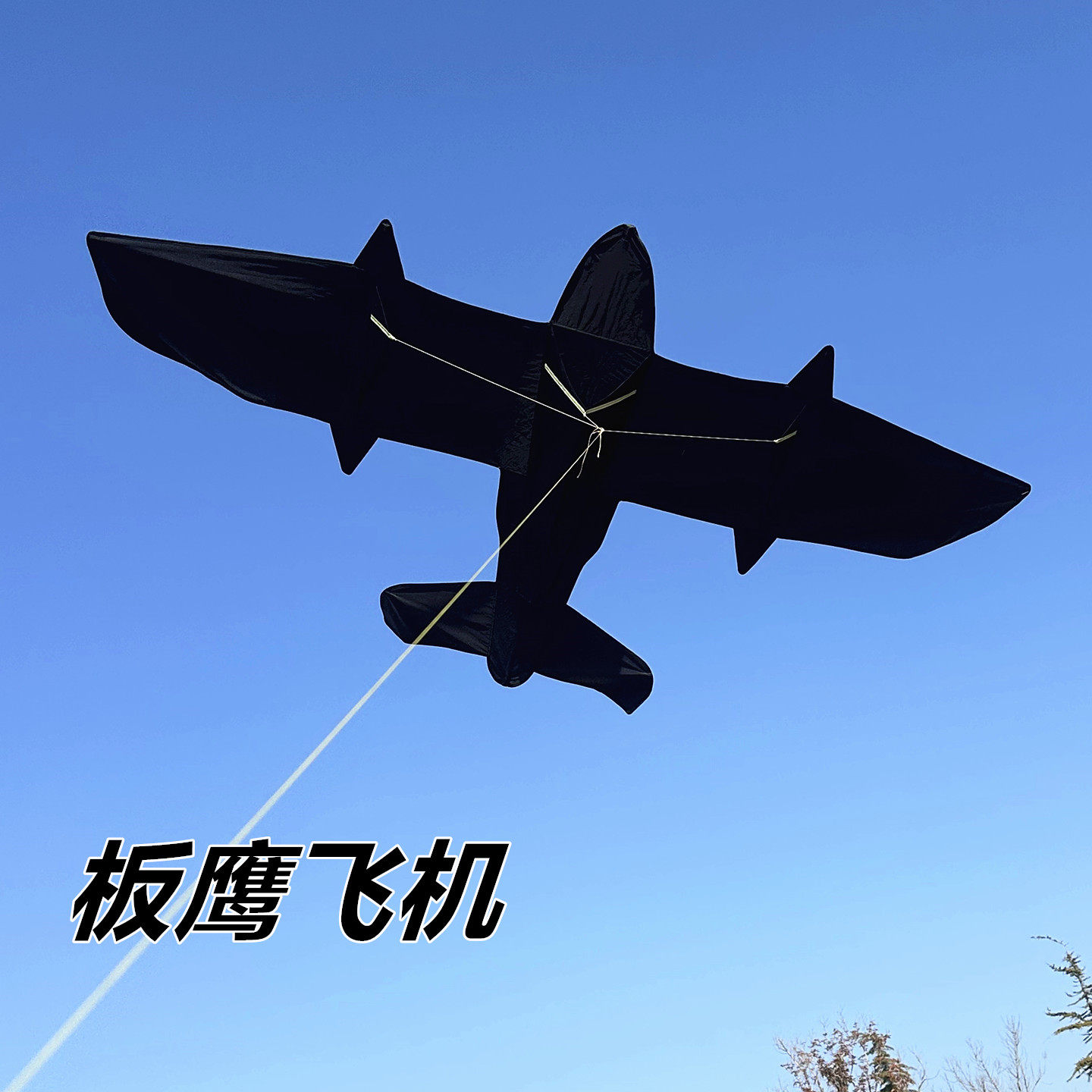 基林大型板鹰飞机风筝微风易飞