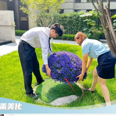 户外绿植井盖遮挡装饰品绿植球