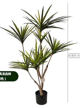 仿真植物盆景铁树龙血树造景绿植