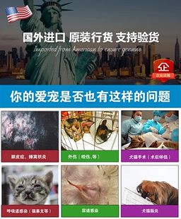 猫咪狗狗感冒鼻涕喷嚏猫鼻支杯状治疗口眼睛发炎肠胃炎皮炎10颗