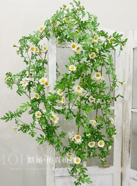 默涵仿真雏菊藤条阳台装饰假花藤