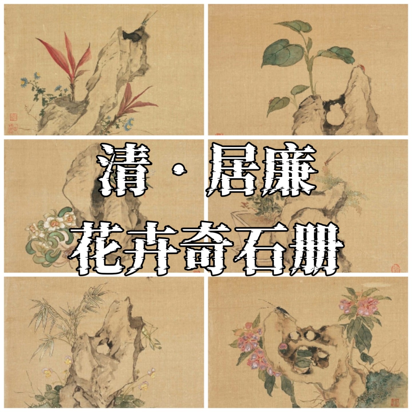 清 居廉 花卉奇石册 十二开国设计素材/源文件