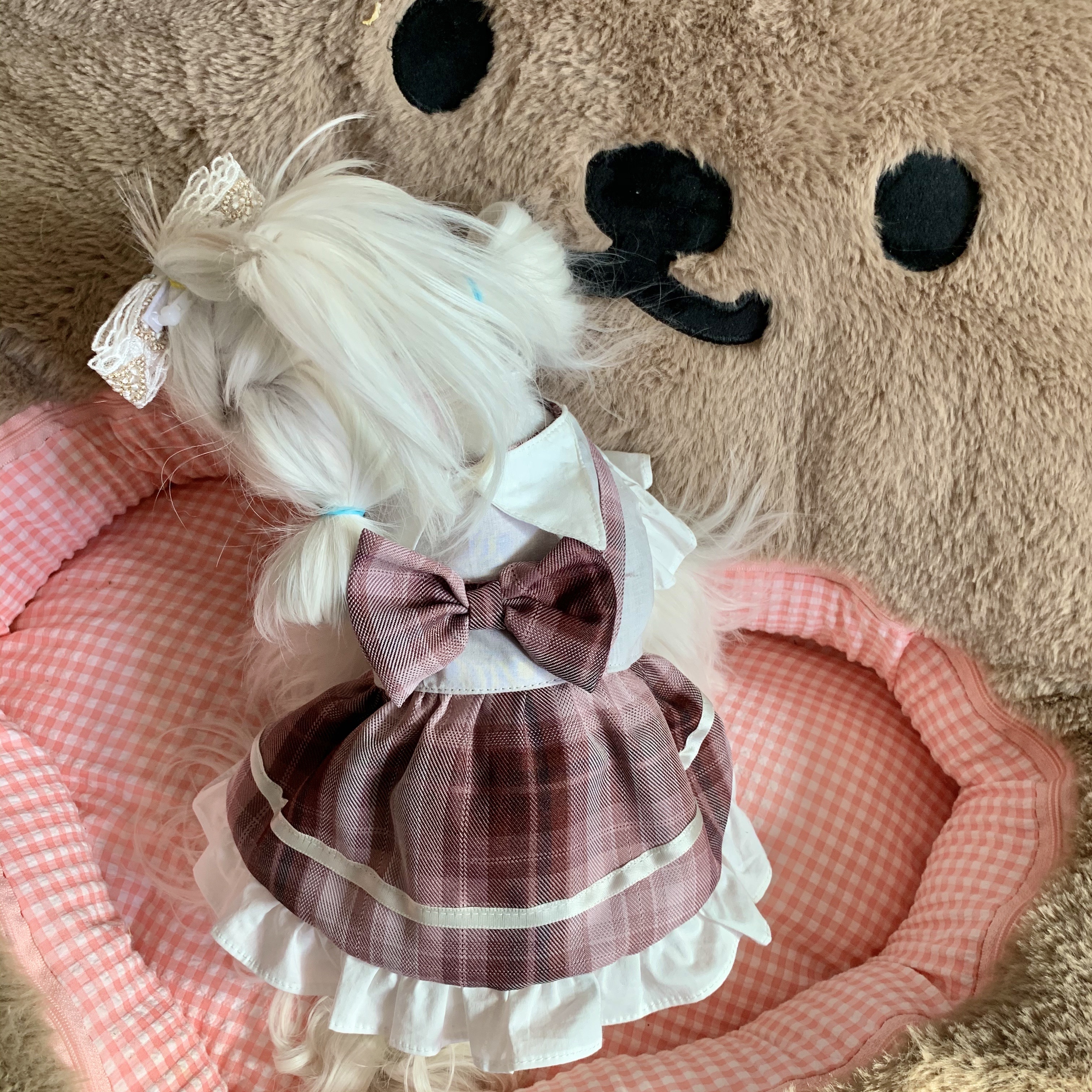 mz原创宠物服饰定制春秋款小格格连衣裙狗狗猫咪纯棉布料马尔济斯