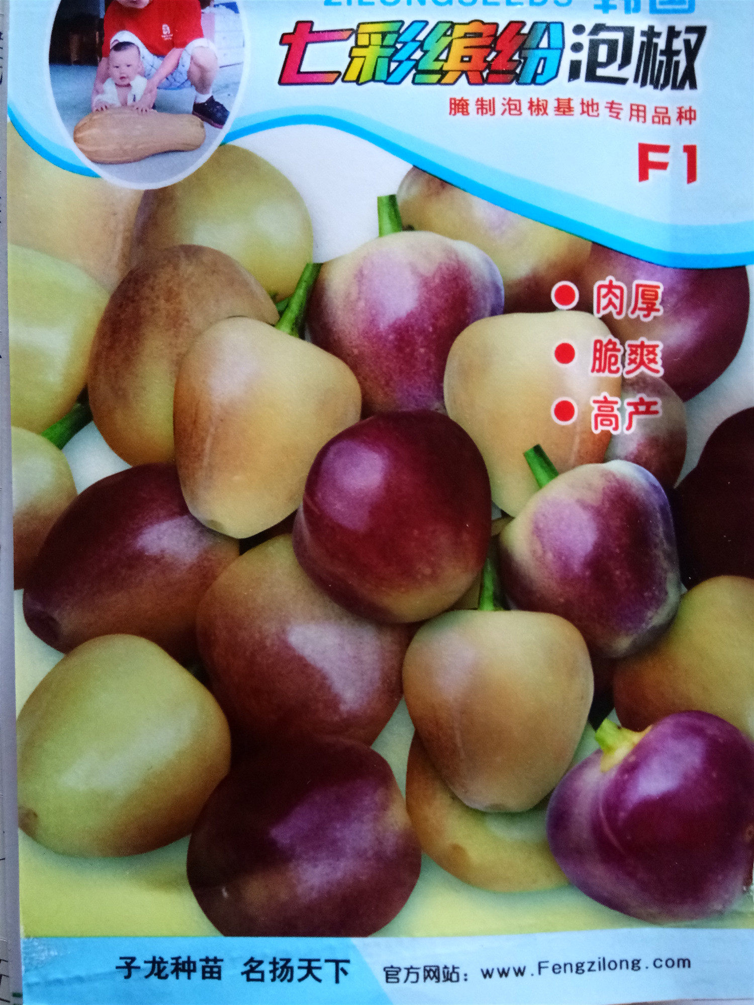 七彩缤纷泡椒种子 春夏播蔬菜七彩椒五彩椒籽超辣朝天椒辣椒种子