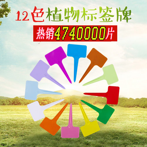 加厚塑料多肉花卉园艺防水